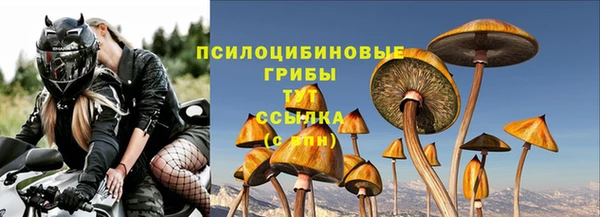 spice Алексеевка