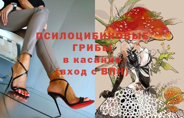 spice Алексеевка