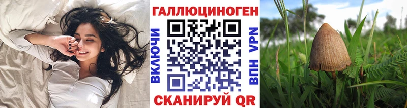 Псилоцибиновые грибы Psilocybine cubensis  Лихославль 